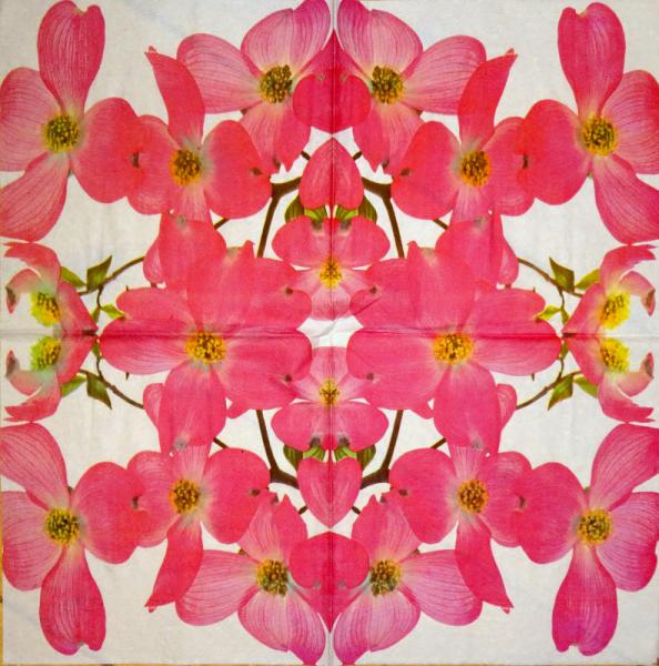 030 Orchids - 3-ply